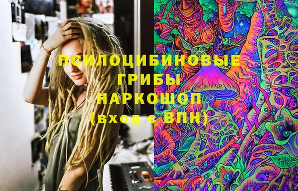 дживик Абинск