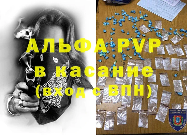 крисы Алзамай