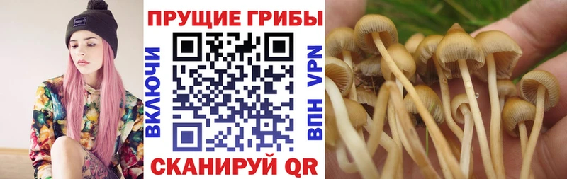 кракен онион  Полярный  Псилоцибиновые грибы Magic Shrooms 